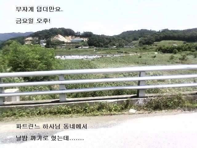 마눌도 무시하는 낚수꾼들 (커뮤니티 - 자유게시판)