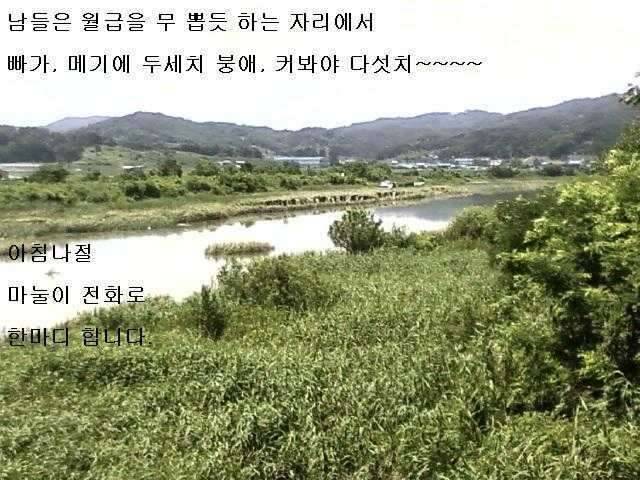 마눌도 무시하는 낚수꾼들 (커뮤니티 - 자유게시판)