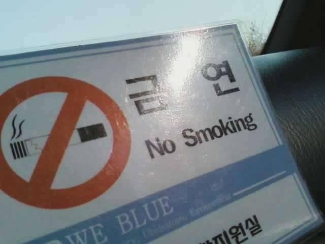 이제야 알았습니다 (커뮤니티 - 자유게시판)