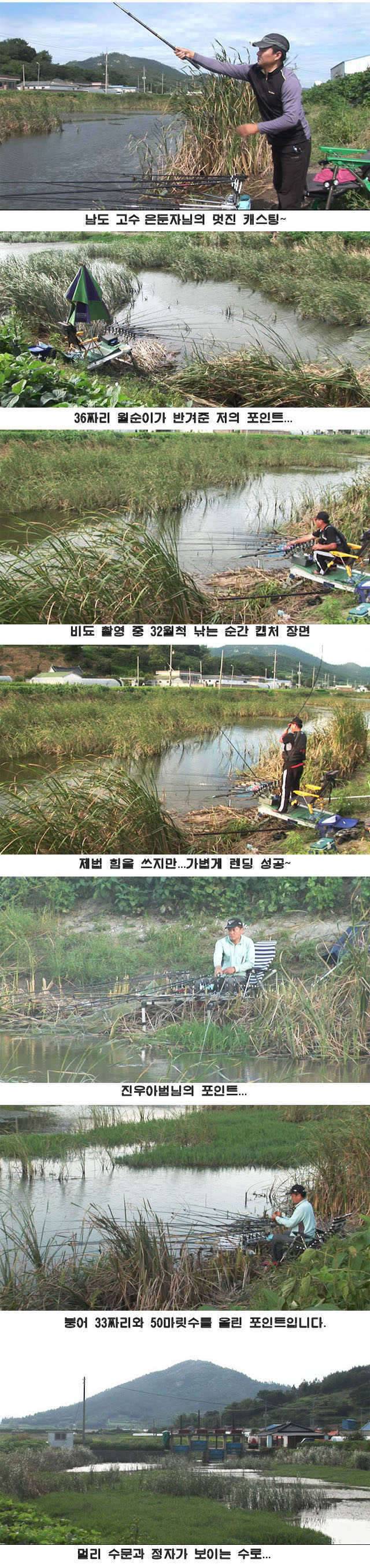 자게방판 남도 조행기1 (커뮤니티 - 자유게시판)