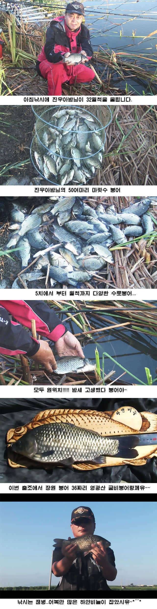 자게방판 남도 조행기1 (커뮤니티 - 자유게시판)