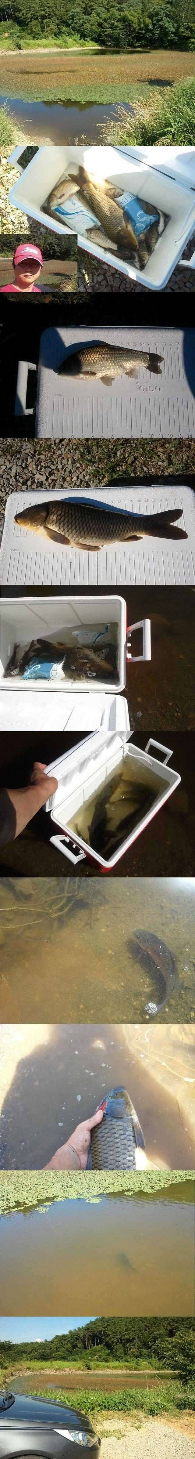 아름드리 보물터를 위하여 (커뮤니티 - 자유게시판)