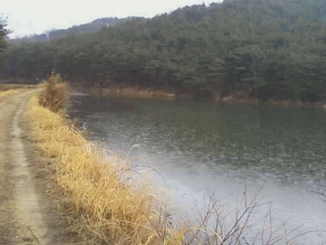 잠못드는 밤 비는내리고 (커뮤니티 - 자유게시판)