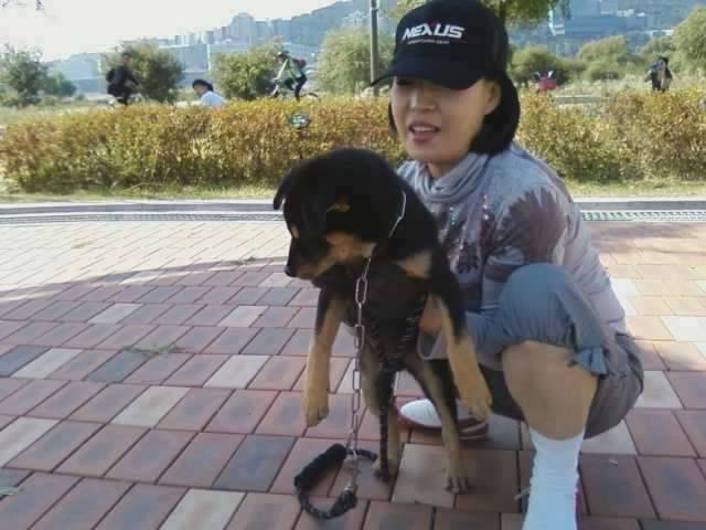 개판이네요 (커뮤니티 - 자유게시판)