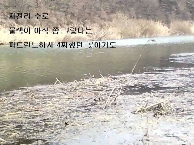 주임상사의 생애 첫 월척 (커뮤니티 - 자유게시판)