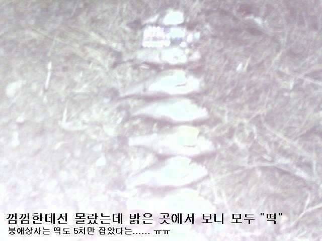 주임상사의 생애 첫 월척 (커뮤니티 - 자유게시판)