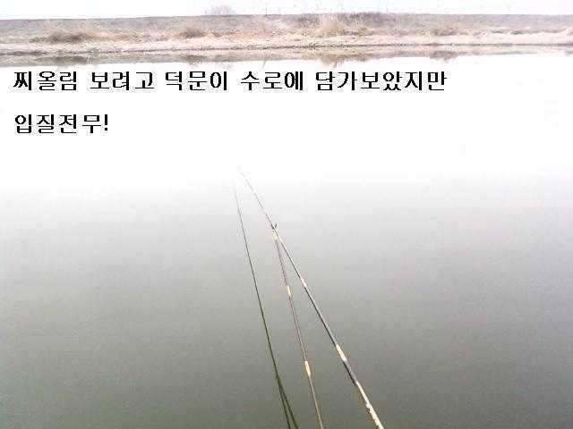 주임상사의 생애 첫 월척 (커뮤니티 - 자유게시판)