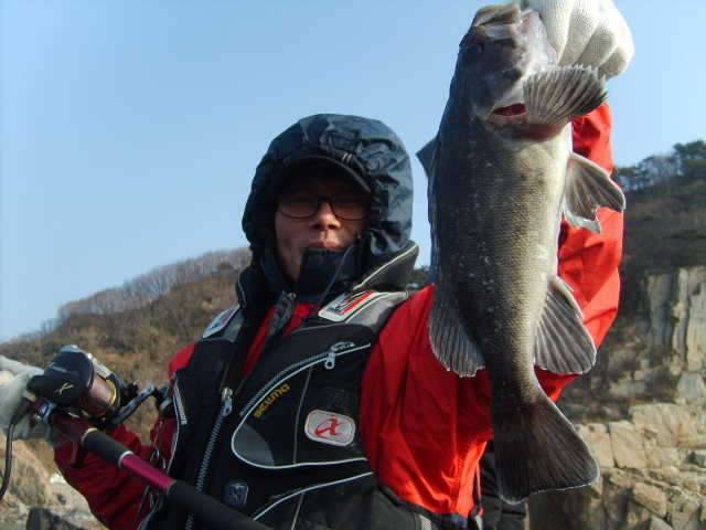 인천★´″개우럭광어배낚시매일출조 어초및 심해청정해역4080m조황 선상 우럭바다낚시 (커뮤니티 - 자유게시판)