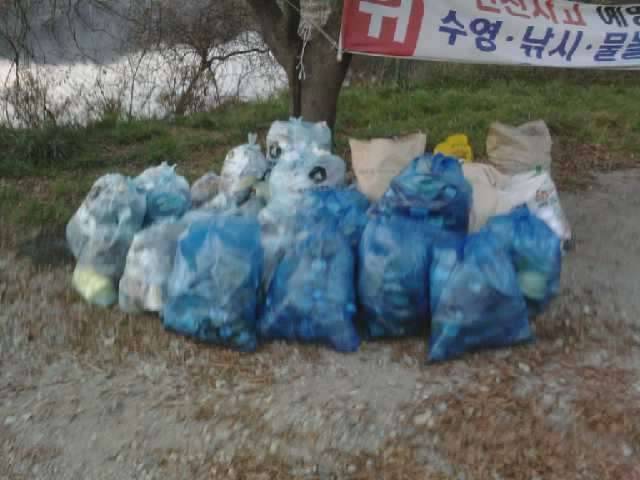 쓰레기 줍고 씁쓸한 하루 (커뮤니티 - 자유게시판)