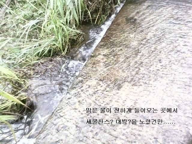 5치특수부대장님의 고민 (커뮤니티 - 자유게시판)