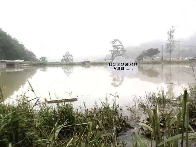 5치특수부대장님의 고민 (커뮤니티 - 자유게시판)