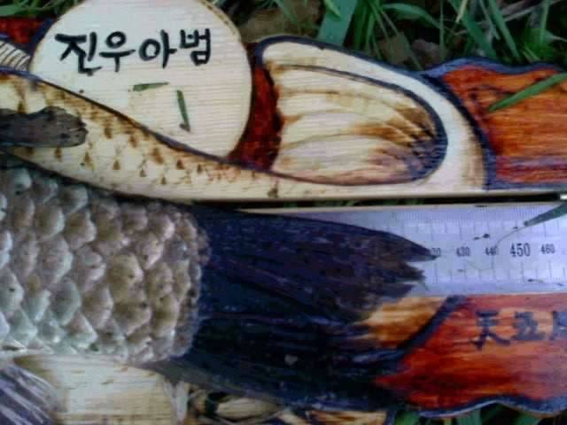 남도방 짬낚시 대대왕박 (커뮤니티 - 자유게시판)