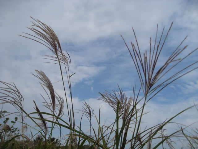 오늘도달렸읍니다 (커뮤니티 - 자유게시판)