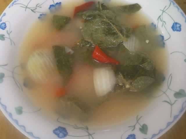 이벤트 찌 오늘 택배착 (커뮤니티 - 자유게시판)