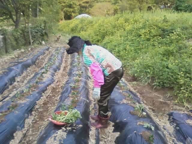 헉 147센티 고기 홧팅 (커뮤니티 - 자유게시판)