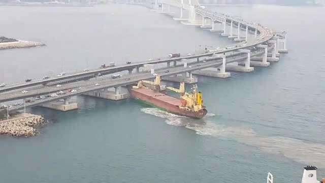 왜 박았지ㅠ (커뮤니티 - 자유게시판)