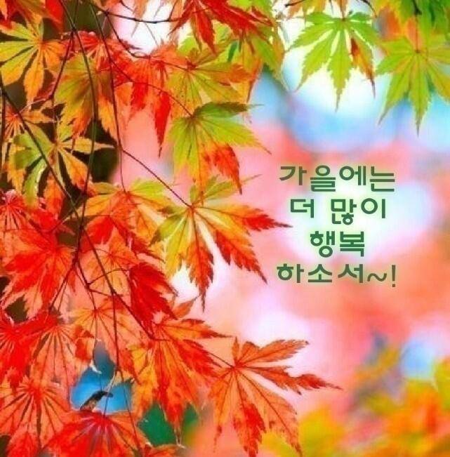 출석부 (커뮤니티 - 자유게시판)