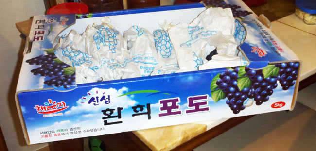 남도조행기이건 안올리려고 했는데 (커뮤니티 - 자유게시판)