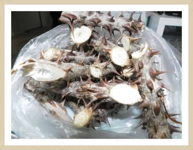 엄지 손가락 땜시 바가지 욕을 (커뮤니티 - 자유게시판)