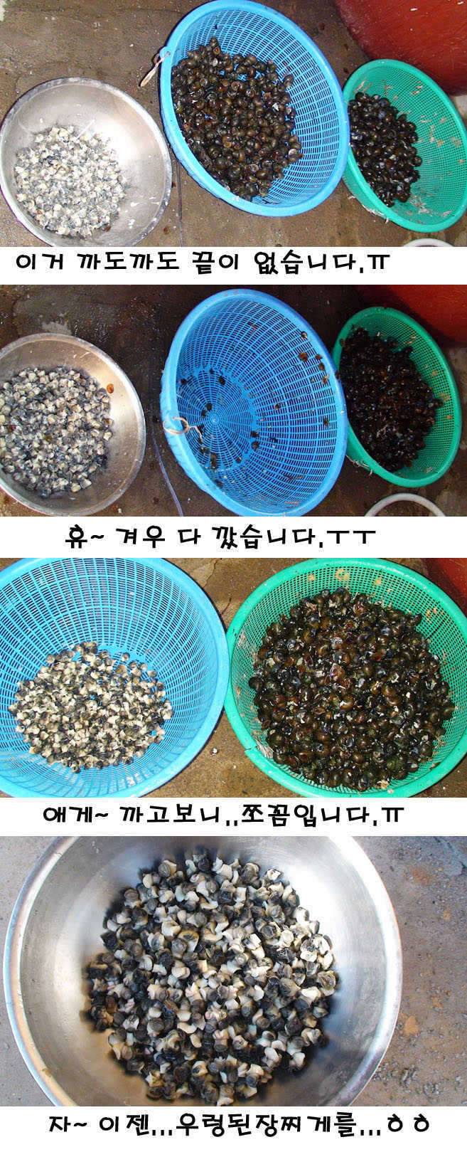 텃새2 응징 (커뮤니티 - 자유게시판)