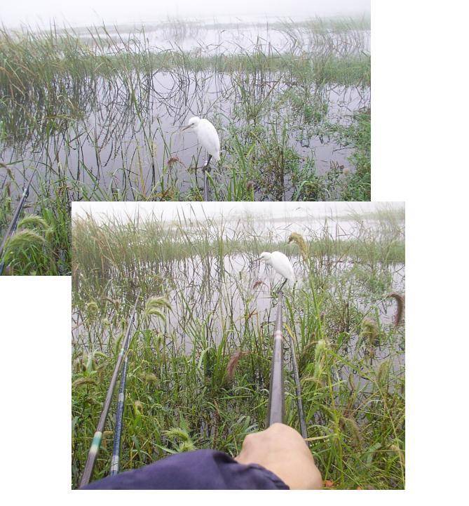 나는 일산뜰보이입니다 (커뮤니티 - 자유게시판)