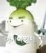 달랑무님의 직장 (커뮤니티 - 자유게시판)