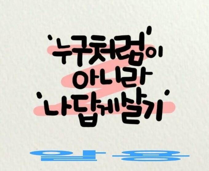 캡라이트 (커뮤니티 - 자유게시판)