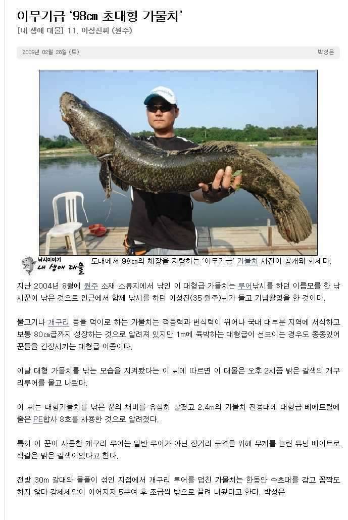 내사진이 도용당했다면 (커뮤니티 - 자유게시판)