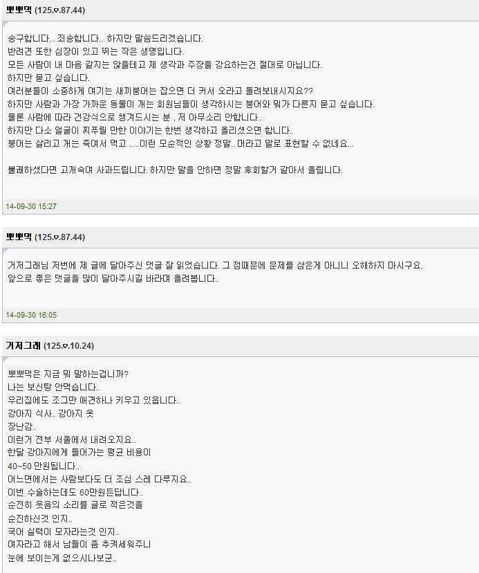 뽀뽀댁거저그래님꼭 봐주세요 (커뮤니티 - 자유게시판)