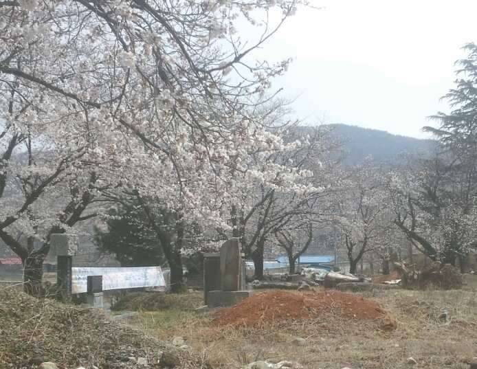 아주 죽을맛 입니다 ㅡㅡ (커뮤니티 - 자유게시판)