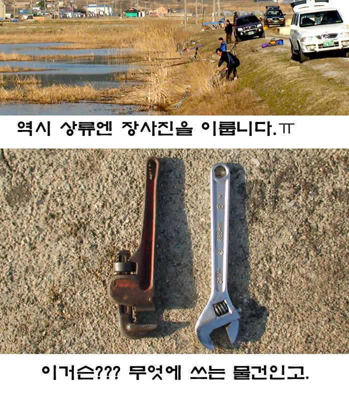 곧 완장 차겠습니다 (커뮤니티 - 자유게시판)