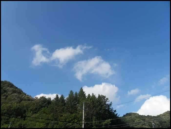 하늘을 볼수 있는 삶의 여유 (커뮤니티 - 자유게시판)
