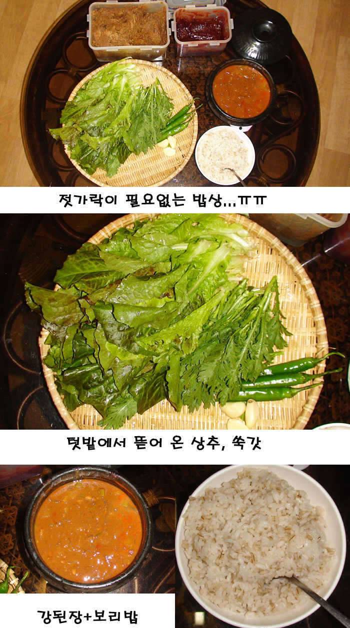 궁상맞습니다ㅠ (커뮤니티 - 자유게시판)