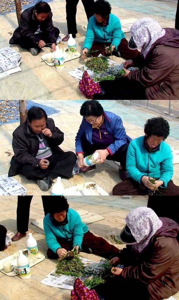 사진 정가의 봄 (커뮤니티 - 자유게시판)