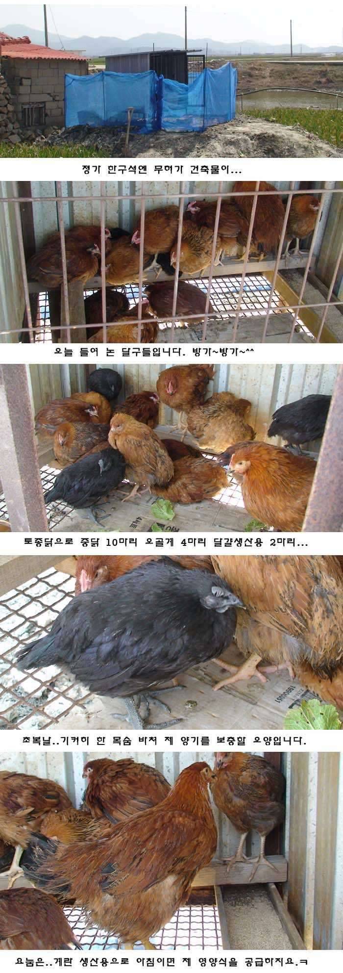 저도 한말씀 드려도 되쥬 (커뮤니티 - 자유게시판)