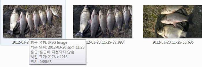 짬낚그 결과입니다 (커뮤니티 - 자유게시판)