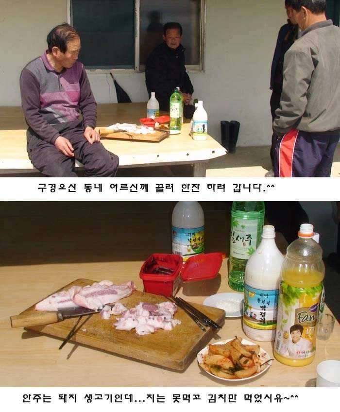 저도 한말씀 드려도 되쥬 (커뮤니티 - 자유게시판)