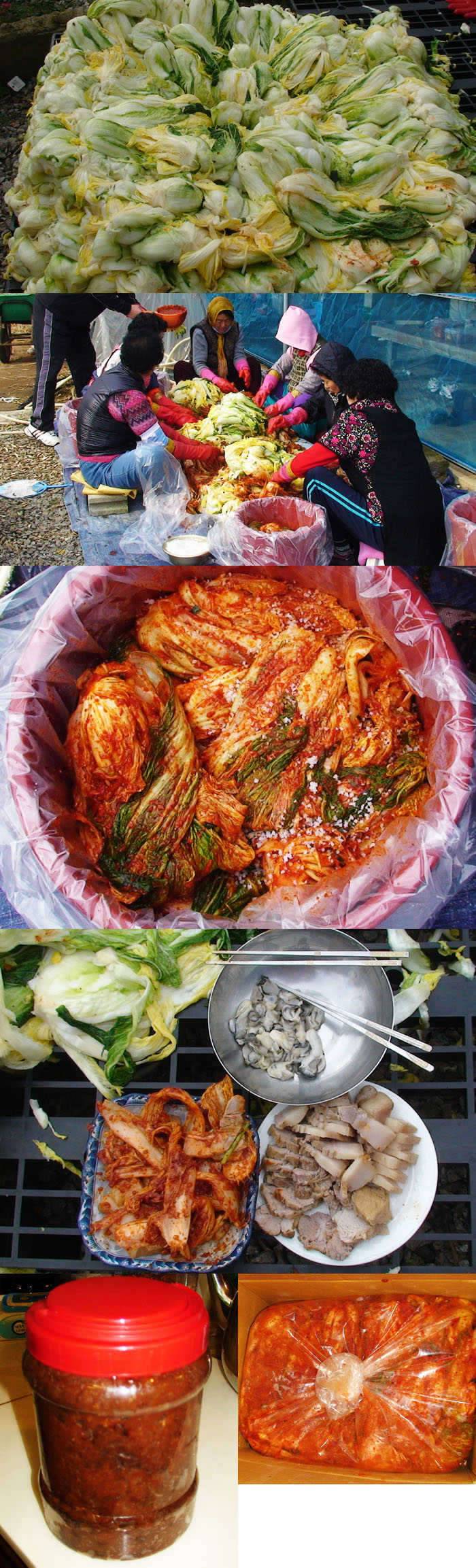 하얀비늘 자게용 조행기 남도에는 情이 있다2편 (커뮤니티 - 자유게시판)