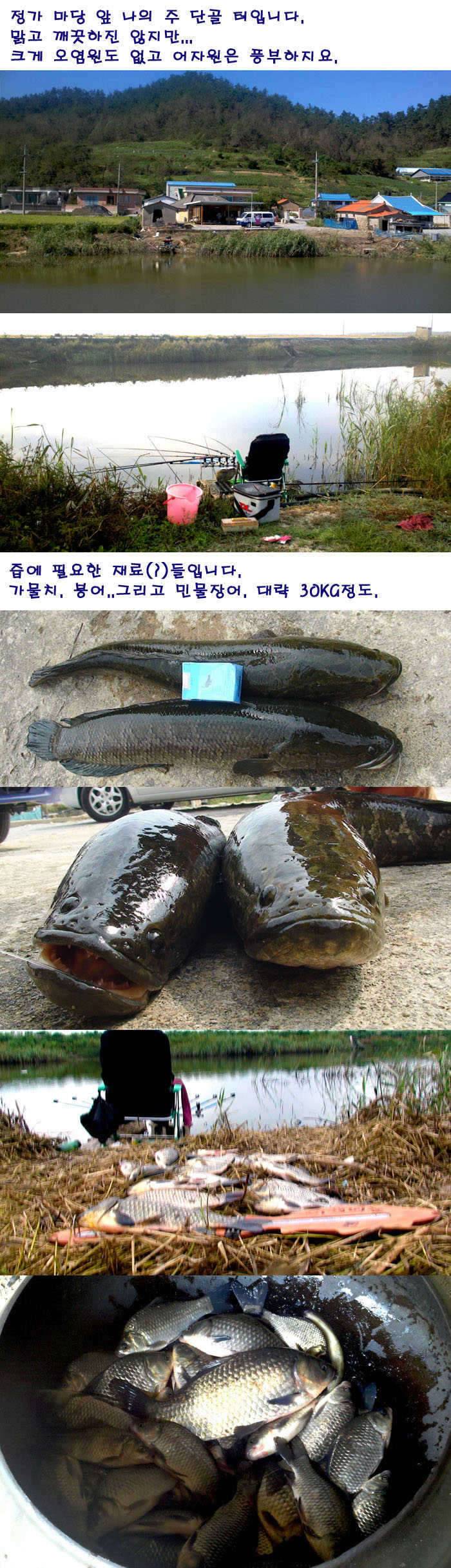 붕어즙 이야기 1편 (커뮤니티 - 자유게시판)