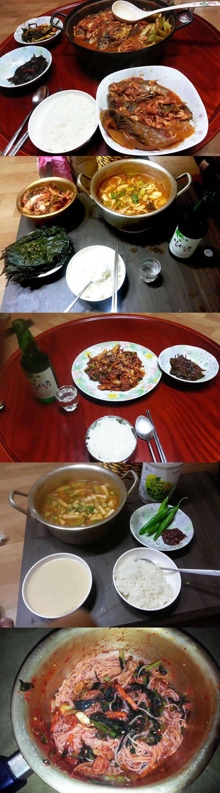 창밖에 흰 손신세타령 (커뮤니티 - 자유게시판)