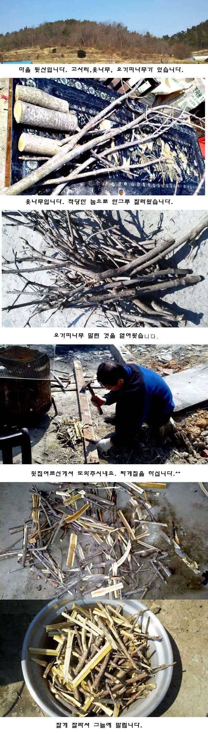 정가에서 하루는 즐겁고 피곤합니다 (커뮤니티 - 자유게시판)