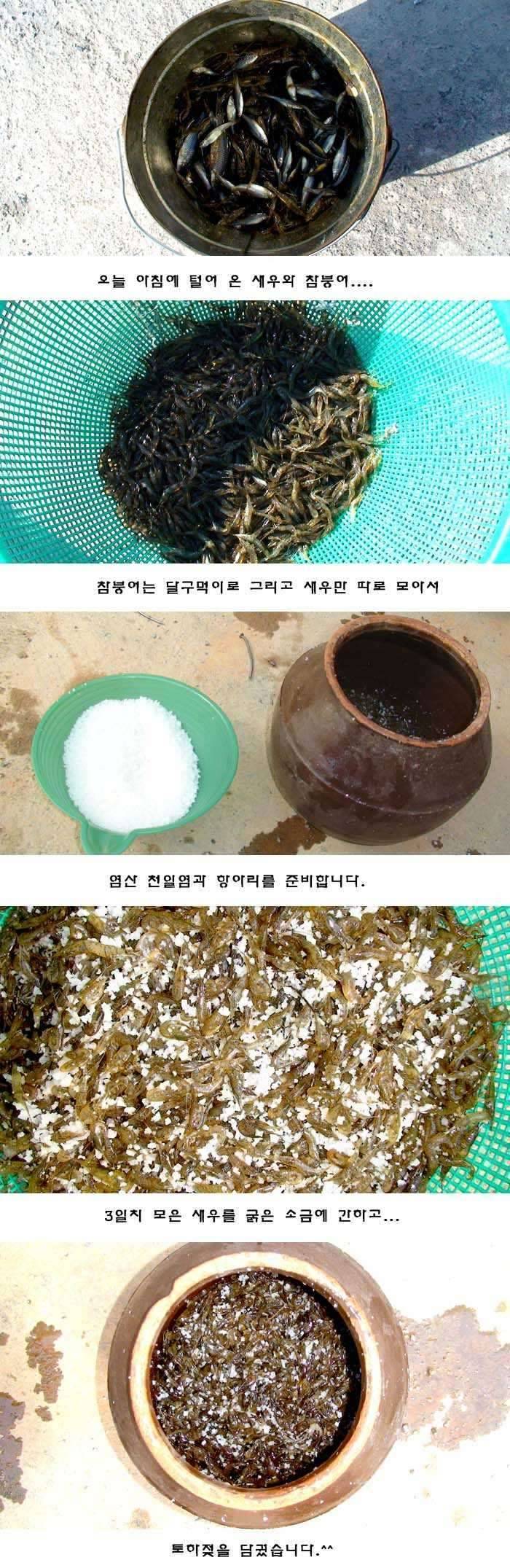 정가 땡 누우스 (커뮤니티 - 자유게시판)