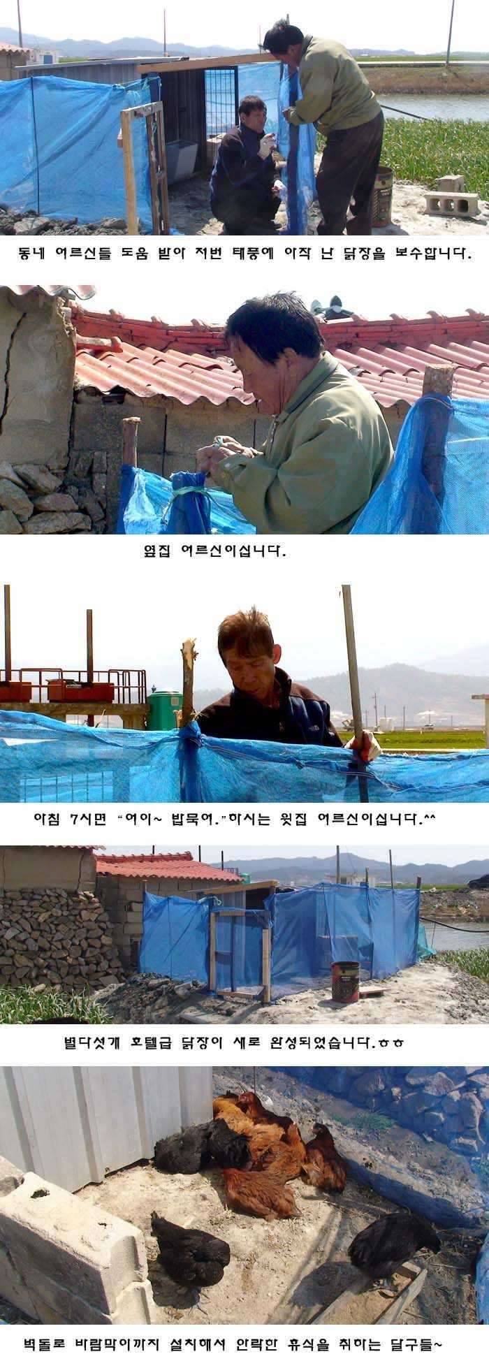 정가 땡 누우스 (커뮤니티 - 자유게시판)