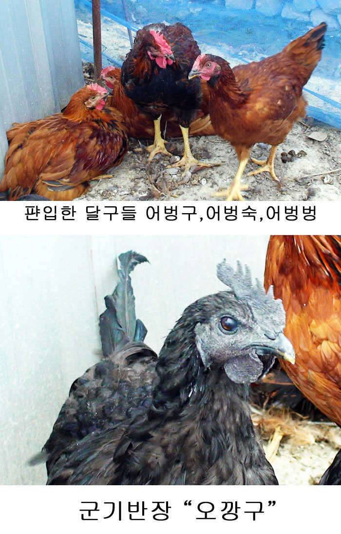 비를 기다렸습니다 (커뮤니티 - 자유게시판)