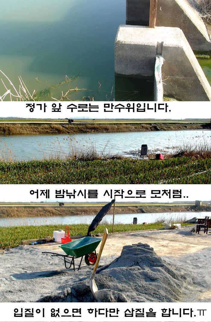 곧 완장 차겠습니다 (커뮤니티 - 자유게시판)