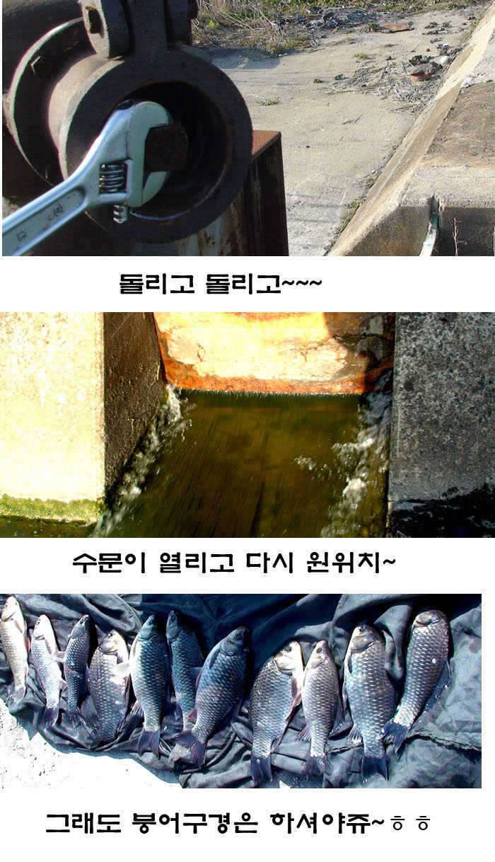 곧 완장 차겠습니다 (커뮤니티 - 자유게시판)