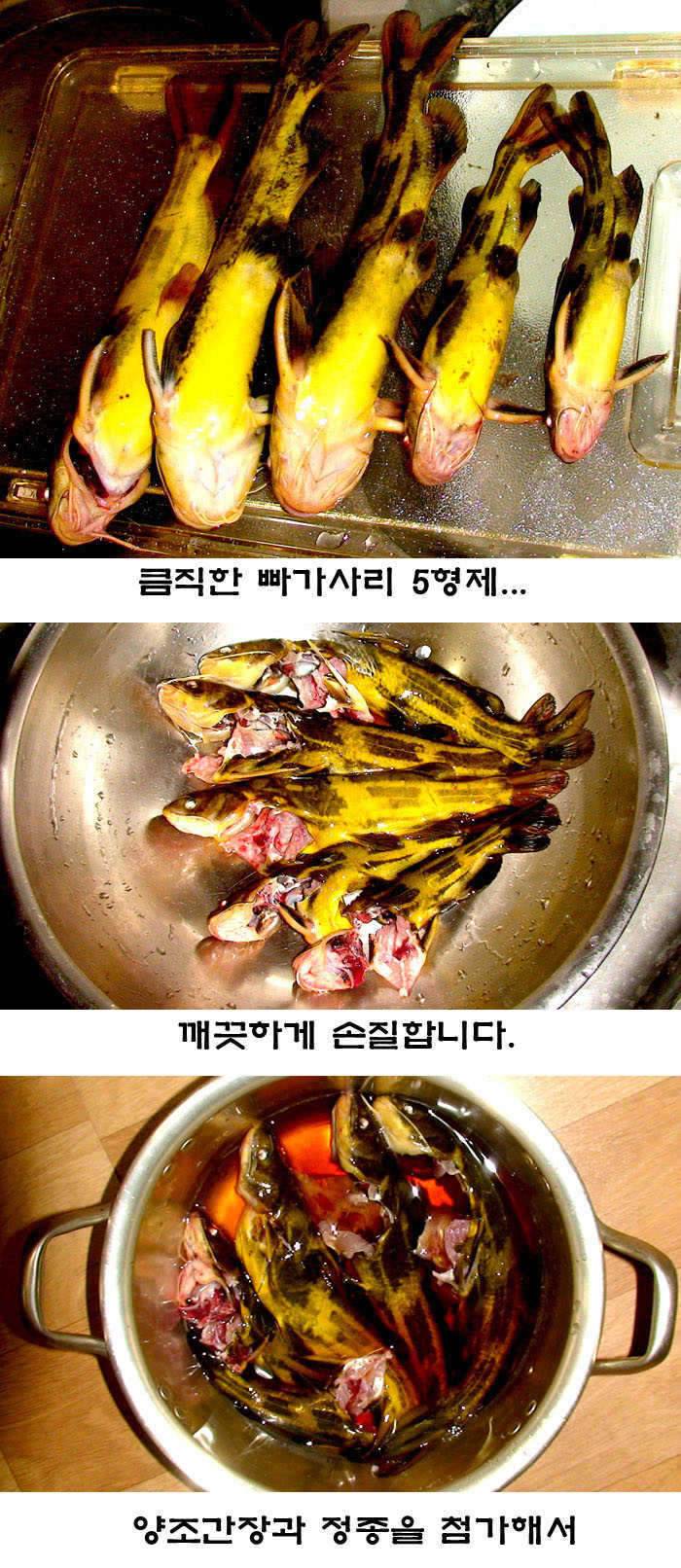 情家표 매운탕 (커뮤니티 - 자유게시판)