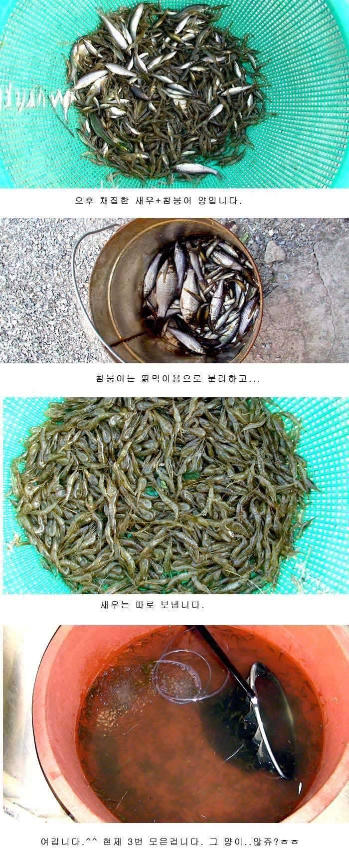 정가의 땡 누우스 (커뮤니티 - 자유게시판)