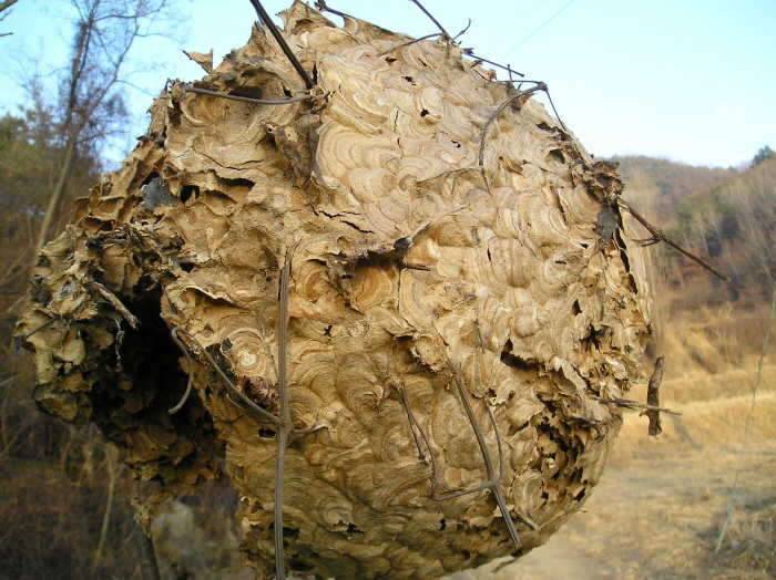 산에갔다와서 심심해서 (커뮤니티 - 자유게시판)
