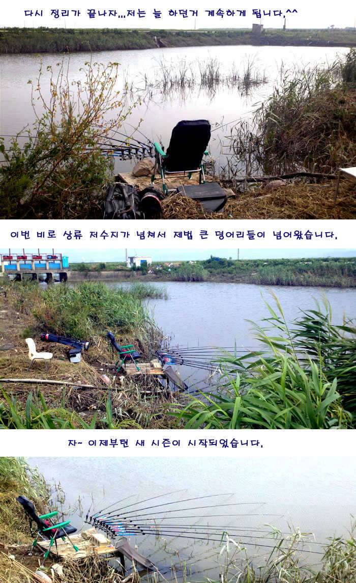 국민 여러분께 감사드립니다 (커뮤니티 - 자유게시판)